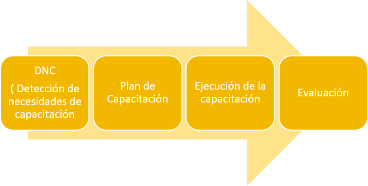capacitacion integral